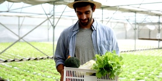 在水培蔬菜农场，白人男性农民抱着绿色橡木篮子看着相机和微笑，农业有机健康。