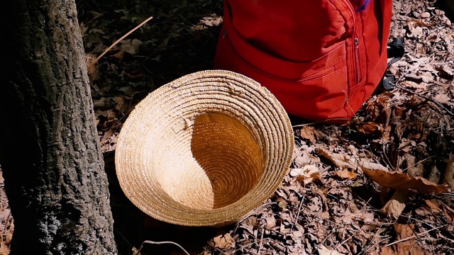 一顶草帽和一个背包躺在枯叶下的树旁。