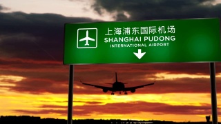 飞机降落在上海浦东视频素材模板下载