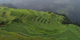 无人机俯瞰中国美丽的梯田稻田和小房子