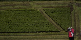 无人机镜头用巨大的联合收割机收割水稻