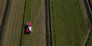 无人机镜头用巨大的联合收割机收割水稻