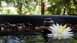 水滴在平衡石和白莲花附近落水的慢动作视频素材模板下载