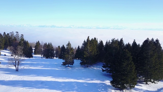 阿尔卑斯山脉在冬天