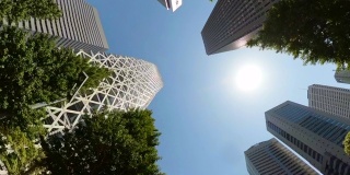 开车穿过城市中的摩天大楼。旋转和仰望摩天大楼和绿树。