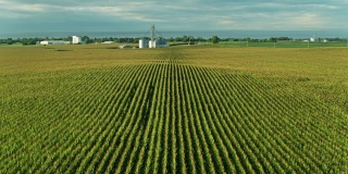 俄亥俄州农场的玉米生产线——无人机拍摄
