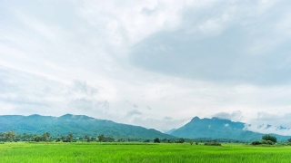 绿色稻田与美丽的山景观与雾，时间流逝视频视频素材模板下载