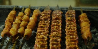 烹饪传统的土耳其烤肉串和烤鸡