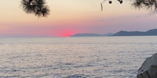 日落在地中海地平线上的岩石，松树。