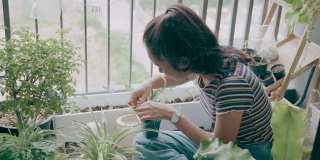 年轻女士在公寓阳台上种植VDO