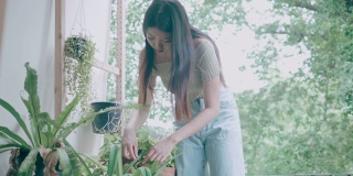 年轻女士种植在她的家阳台存货VDO