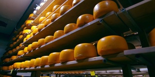 在冰箱的木架子上储存不同种类的奶酪。奶酪在储藏室的架子上。