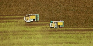 高空俯视图联合收割机在茉莉花稻田上作业的农业技术概念。