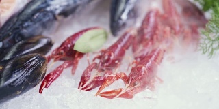 FHD慢镜头:小龙虾与各种新鲜的海鲜在冰的背景与冰冻的冰烟的特写。新鲜冷冻海鲜冰和零售市场概念。
