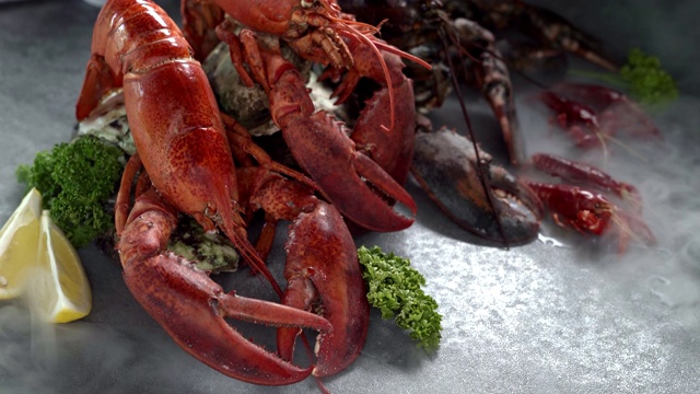 4K超高清:近距离倾斜的加拿大龙虾和小龙虾在黑色背景与冰冻的冰烟。新鲜豪华海鲜和菜单食谱零售市场概念。