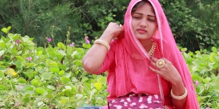 印度印度教妇女在传统拉吉普蒂尼拍摄服装