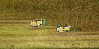 高空俯视图联合收割机在茉莉花稻田上作业的农业技术概念。