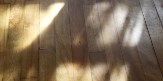 客厅4k视频中木质地板与随风移动的窗帘的阴影