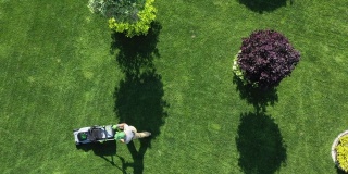 一个人在一个巨大的院子里用割草机割草。