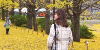 快乐的亚洲女性游客在日本昭和基嫩公园散步，看着美丽的黄色银杏叶在秋天飘落的4K后视图。日本旅游度假和季节变化的概念。