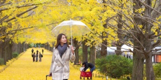 4K快乐的亚洲女性游客拿着粉红色的行李和雨伞漫步在美丽的黄色银杏叶飘落的秋天在日本昭和基嫩公园。日本旅游度假和季节变化的概念。