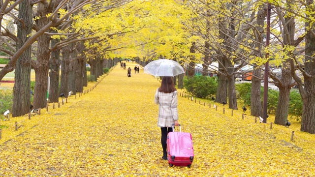 4K后视图快乐的亚洲女性游客拿着粉红色的行李和雨伞在美丽的黄色银杏叶飘落在秋天在昭和基南公园在日本。日本旅游度假和季节变化的概念。