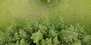 无人机鸟瞰花园与草坪和绿色植物竹林