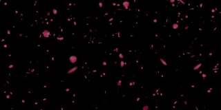 3D动画是关于落下的红色花瓣，背景是黑色的。