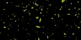 3D动画是关于落下的绿叶与黑色的背景。
