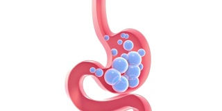 人体胃内部气体的三维动画示意图。