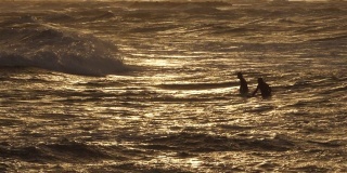 日落冲浪，法国奥克西塔尼，帕拉瓦斯·莱斯·弗洛茨
