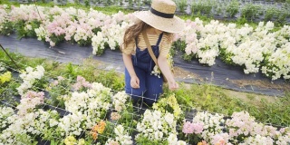 戴草帽的女人微笑着坐在温室里的鲜花上
