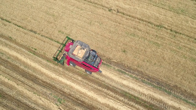 空中俯瞰收割机在中国新疆的农田里收割庄稼
