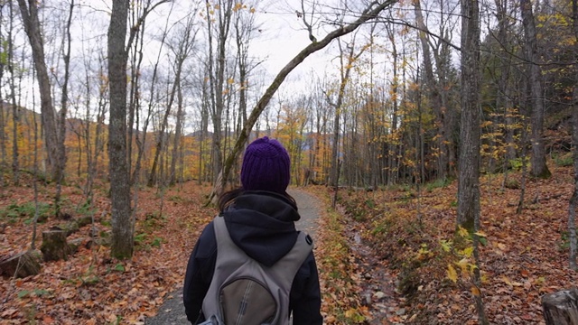 在秋季森林里徒步旅行的年轻女子，蒙特·特伦布兰特省公园，加拿大魁北克