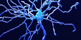 大脑内的神经元细胞