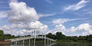 湛蓝的天空和湖上的桥，人们在夏天玩独木舟