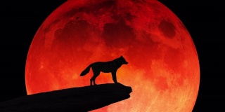 一只狼的剪影站在悬崖边，对着血红的月亮嚎叫