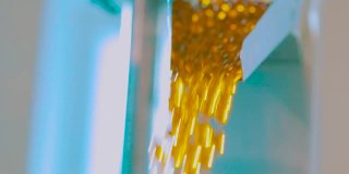 在输送明胶胶囊生产线上，许多黄色明胶胶囊在生产中