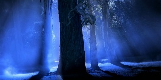 蓝色雾森林