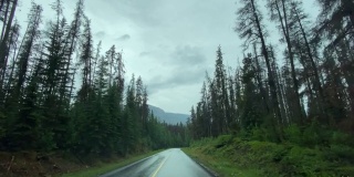 汽车在贾斯珀国家公园的空旷高速公路上行驶的4K视频，加拿大