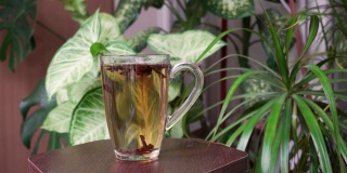 在绿色植物的背景下，一杯芳香的茶。美味的热饮。