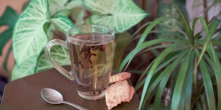 在绿色植物的背景下，一杯芳香的茶。美味的热饮。