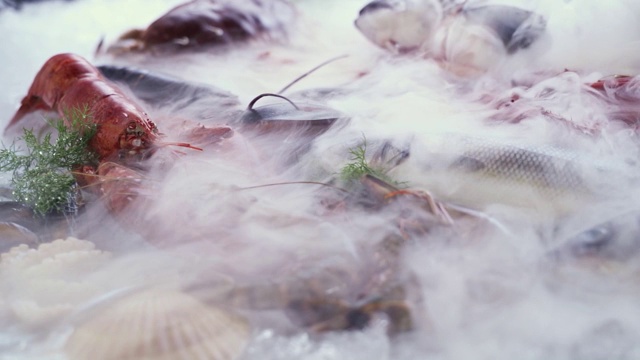 FHD慢镜头右图:各种豪华新鲜海鲜，龙虾，鲑鱼，鲭鱼，小龙虾，虾，章鱼，贻贝和扇贝，在冰的背景与流动的冰冻烟雾。新鲜冷冻海鲜冰和零售市场概念。