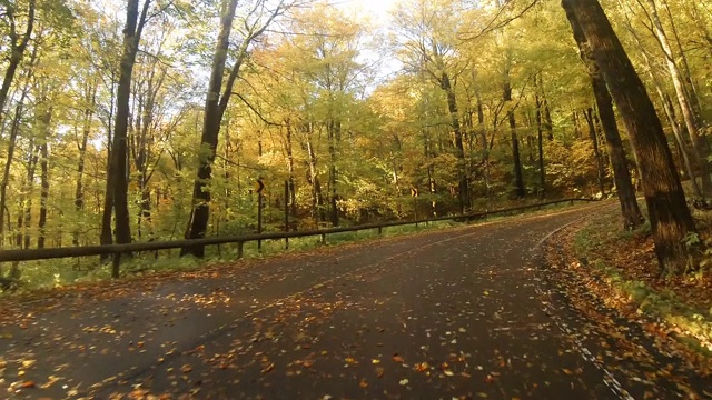 格雷洛克山的秋天路