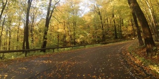 格雷洛克山的秋天路