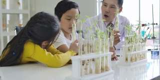 小学科学教室:亚洲儿童在科学家制服学习植物在管玻璃桌上。