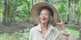 亚洲笑资深女农民在椰子农场工作。年长妇女的肖像微笑相机与快乐的脸。年纪大了还健健康康，带着幸福的观念生活。