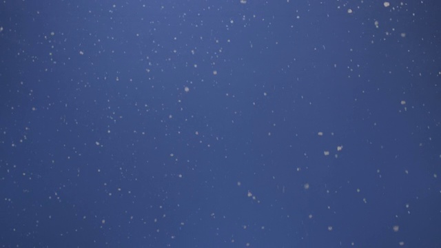 雪出现在视频中，慢慢地漂浮在空中，冬天的场景在蓝色的背景上。
