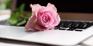 网上约会和浪漫的概念与笔记本电脑和粉红玫瑰