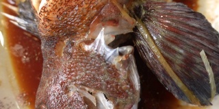 蒸红斑石斑鱼